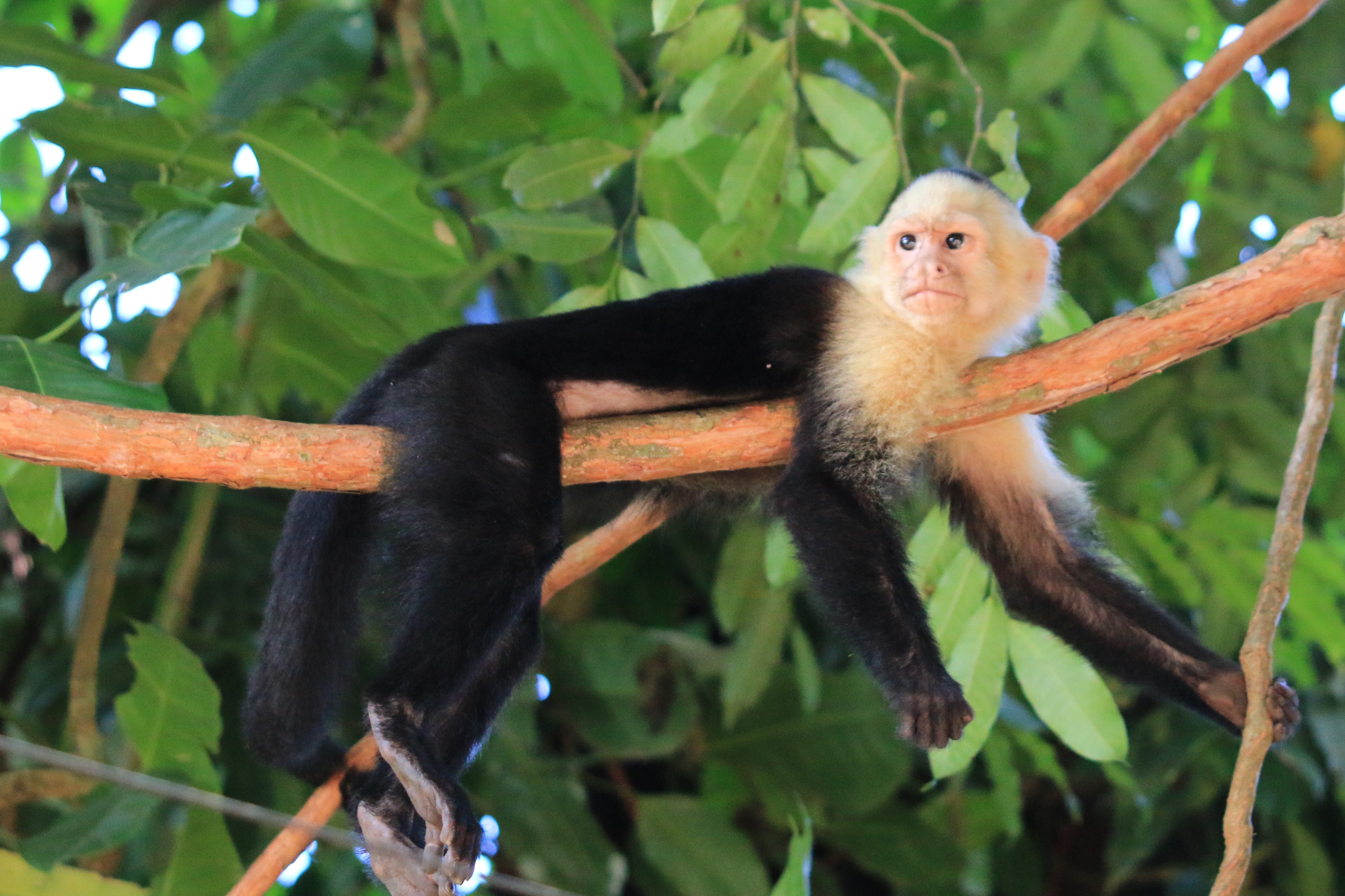 Costa Rica